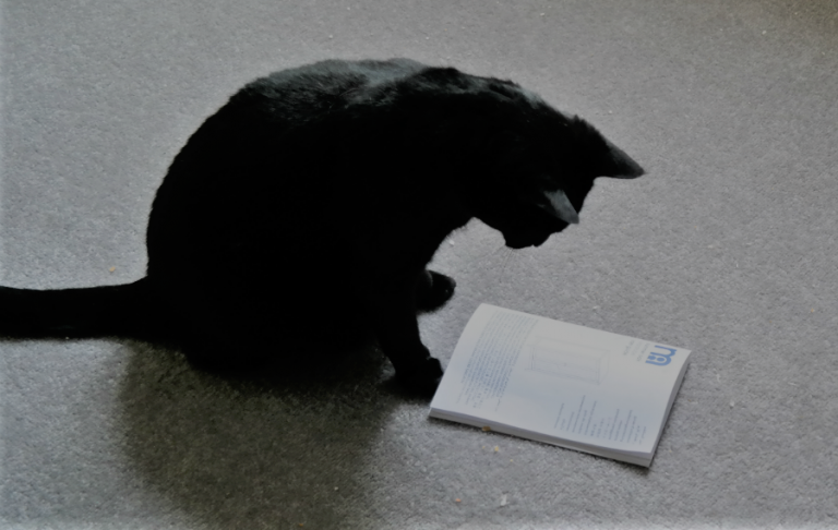 publica-el-lector-le-miau-noir